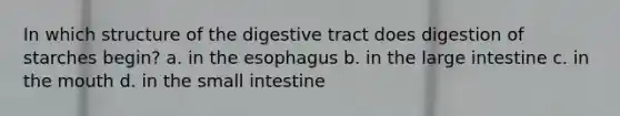 In which structure of the digestive tract does digestion of starches begin? a. in the esophagus b. in the large intestine c. in the mouth d. in the small intestine