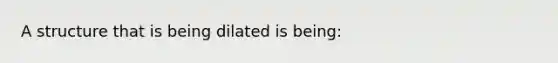 A structure that is being dilated is being: