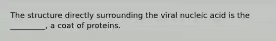 The structure directly surrounding the viral nucleic acid is the _________, a coat of proteins.