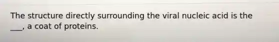 The structure directly surrounding the viral nucleic acid is the ___, a coat of proteins.
