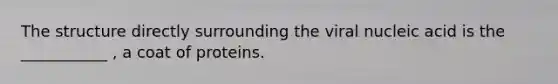 The structure directly surrounding the viral nucleic acid is the ___________ , a coat of proteins.