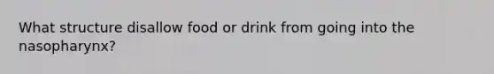 What structure disallow food or drink from going into the nasopharynx?