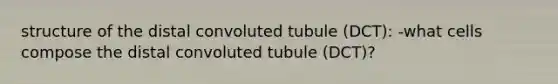 structure of the distal convoluted tubule (DCT): -what cells compose the distal convoluted tubule (DCT)?