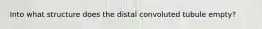 Into what structure does the distal convoluted tubule empty?