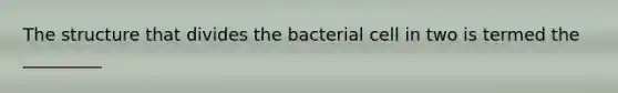 The structure that divides the bacterial cell in two is termed the _________