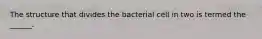 The structure that divides the bacterial cell in two is termed the ______.