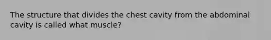 The structure that divides the chest cavity from the abdominal cavity is called what muscle?