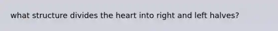 what structure divides the heart into right and left halves?