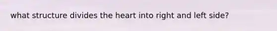 what structure divides the heart into right and left side?