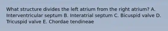 What structure divides the left atrium from the right atrium? A. Interventricular septum B. Interatrial septum C. Bicuspid valve D. Tricuspid valve E. Chordae tendineae