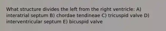 What structure divides the left from the right ventricle: A) interatrial septum B) chordae tendineae C) tricuspid valve D) interventricular septum E) bicuspid valve