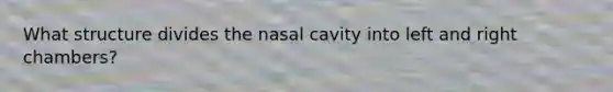 What structure divides the nasal cavity into left and right chambers?