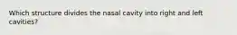 Which structure divides the nasal cavity into right and left cavities?