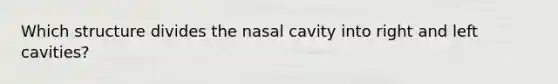 Which structure divides the nasal cavity into right and left cavities?