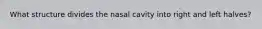 What structure divides the nasal cavity into right and left halves?