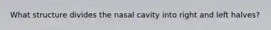 What structure divides the nasal cavity into right and left halves?