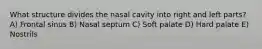 What structure divides the nasal cavity into right and left parts? A) Frontal sinus B) Nasal septum C) Soft palate D) Hard palate E) Nostrils