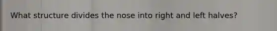 What structure divides the nose into right and left halves?