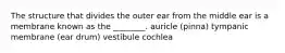 The structure that divides the outer ear from the middle ear is a membrane known as the ________. auricle (pinna) tympanic membrane (ear drum) vestibule cochlea