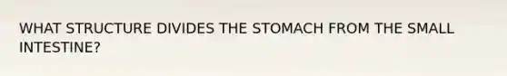 WHAT STRUCTURE DIVIDES THE STOMACH FROM THE SMALL INTESTINE?