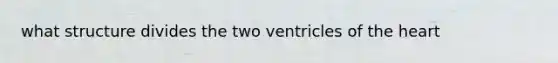 what structure divides the two ventricles of the heart