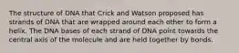 The structure of DNA that Crick and Watson proposed has strands of DNA that are wrapped around each other to form a helix. The DNA bases of each strand of DNA point towards the central axis of the molecule and are held together by bonds.