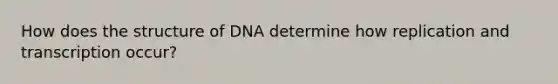 How does the structure of DNA determine how replication and transcription occur?