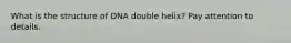 What is the structure of DNA double helix? Pay attention to details.