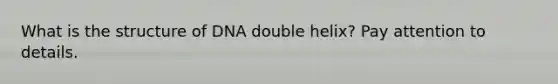 What is the structure of DNA double helix? Pay attention to details.