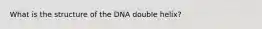 What is the structure of the DNA double helix?