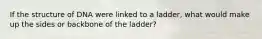 If the structure of DNA were linked to a ladder, what would make up the sides or backbone of the ladder?