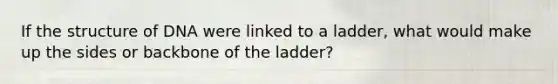 If the structure of DNA were linked to a ladder, what would make up the sides or backbone of the ladder?