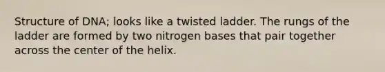 Structure of DNA; looks like a twisted ladder. The rungs of the ladder are formed by two nitrogen bases that pair together across the center of the helix.