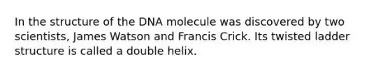 In the structure of the DNA molecule was discovered by two scientists, James Watson and Francis Crick. Its twisted ladder structure is called a double helix.