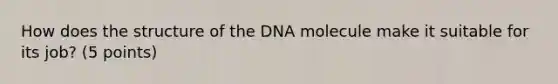 How does the structure of the DNA molecule make it suitable for its job? (5 points)