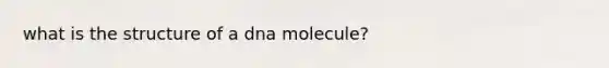 what is the structure of a dna molecule?