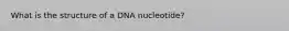 What is the structure of a DNA nucleotide?