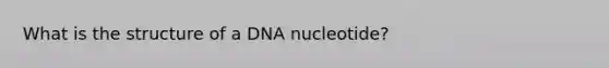 What is the structure of a DNA nucleotide?