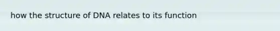 how the structure of DNA relates to its function