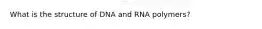 What is the structure of DNA and RNA polymers?