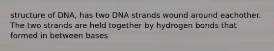 structure of DNA, has two DNA strands wound around eachother. The two strands are held together by hydrogen bonds that formed in between bases