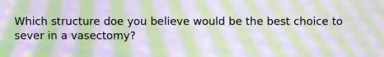 Which structure doe you believe would be the best choice to sever in a vasectomy?