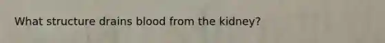 What structure drains blood from the kidney?