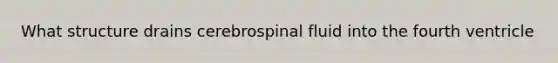 What structure drains cerebrospinal fluid into the fourth ventricle