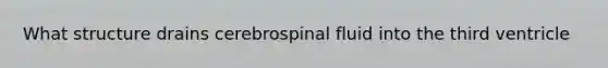 What structure drains cerebrospinal fluid into the third ventricle