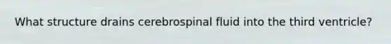 What structure drains cerebrospinal fluid into the third ventricle?