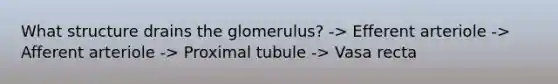 What structure drains the glomerulus? -> Efferent arteriole -> Afferent arteriole -> Proximal tubule -> Vasa recta