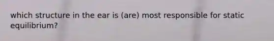 which structure in the ear is (are) most responsible for static equilibrium?