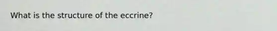 What is the structure of the eccrine?