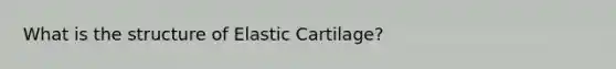 What is the structure of Elastic Cartilage?